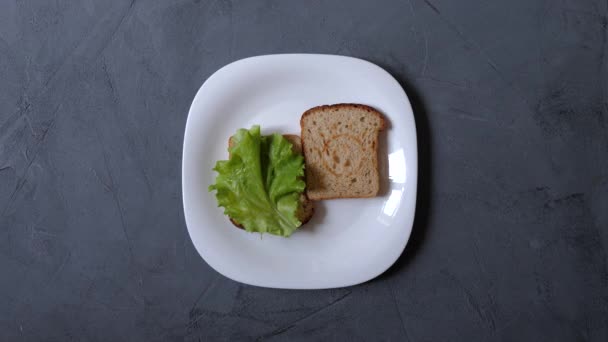 Proceso Cocinar Comer Dos Sándwiches Sabrosos Deliciosos Sándwiches Nutritivos — Vídeo de stock