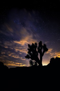 Desert At Night clipart