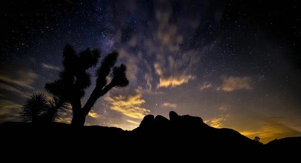 Desierto de noche — Foto de Stock