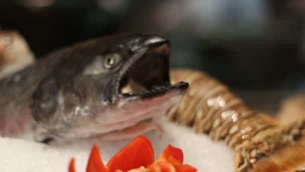 Nahaufnahme von rohen Meeresfrüchten im Restaurant — Stockvideo