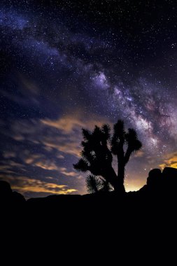 View of Milky Way Galaxy in a Desert Landscape clipart