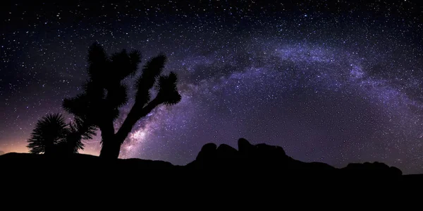 Vista da Via Láctea Galáxia em uma paisagem do deserto — Fotografia de Stock