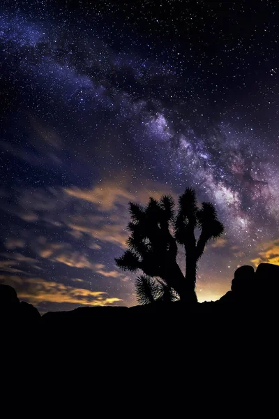 Vista de la Vía Láctea Galaxia en un Paisaje del Desierto — Foto de Stock