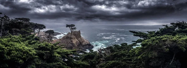 Osamělé cypřiše v Monterey California Coast — Stock fotografie