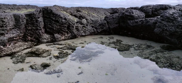 Macro Shot Roche Noire Volcanique Sur Plage Hyeopjae Pendant Les — Photo