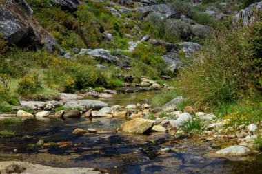 Portekiz 'deki Rocky Nehri Sahili (Serra da Freita)