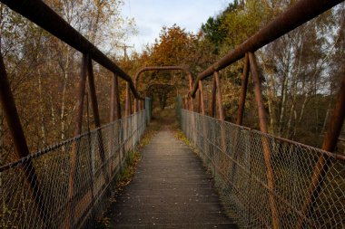 Doğa çok eski bir köprüyü ele geçiriyor.