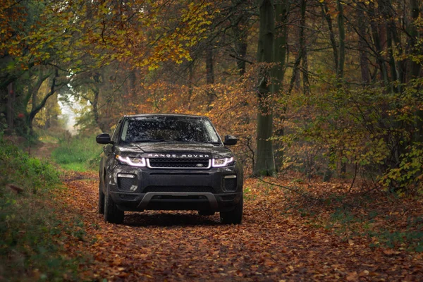 Luxury Offroad Vehicle Autumnal Forest — Stock Photo, Image