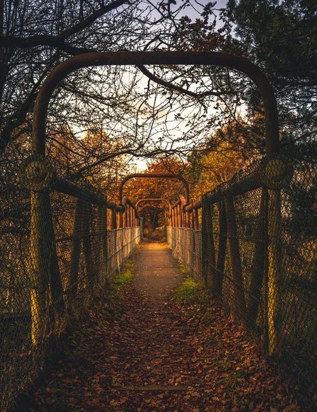 Nature Prend Contrôle Très Vieux Pont — Photo