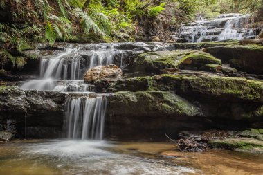 Avustralya 'daki Mavi Dağlarda çağlayan şelaleler