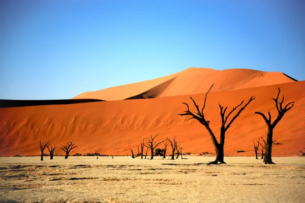 Sossusvlei, Namibya 'daki kum tepeleri