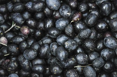 Siyah doğal zeytin arka planı