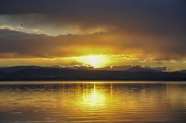 Coucher Soleil Sur Jetée Dans Parc Naturel Albufera Valence — Photo