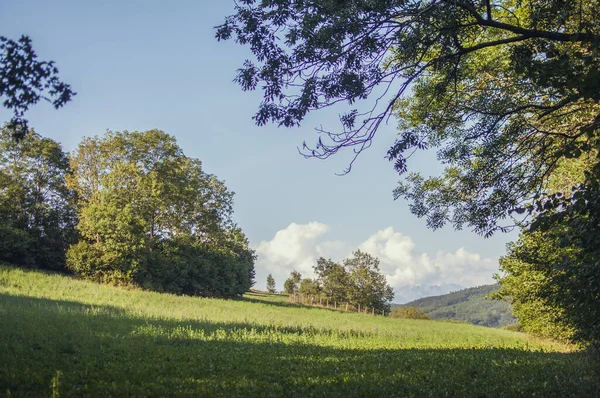 Berg Landet Schweiz — Stockfoto