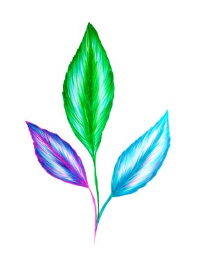  Tropik yeşil palmiye yaprakları beyaza izole edilmiş. Suluboya arkaplanı