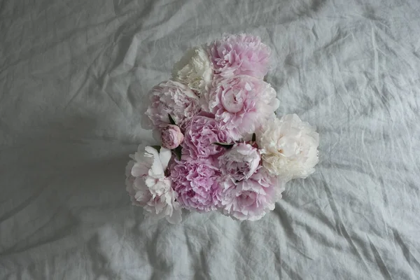 Pivoines Roses Sur Fond Gris Intérieur — Photo