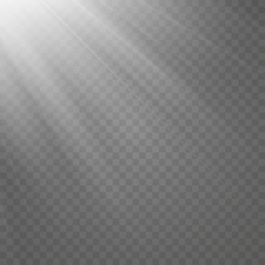 Vektör şeffaf güneş ışığı özel lens flaş efekti. Ön güneş merceği flaşı. Işığın ışığında vektör bulanıklığı.