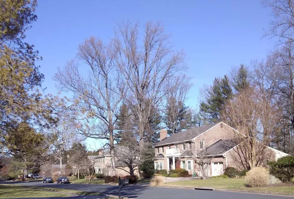 Una Casa Isolata Bellissimo Villaggio Paesaggio Con Alberi Cielo Blu — Foto Stock