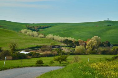 Chianti bölgesinin ortasındaki yeşil tepeler