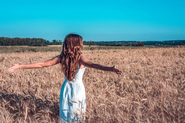 Seorang gadis di musim panas di ladang gandum, mengangkat tangannya dengan gaun putih, kulit kecokelatan, senang berlibur udara segar. Hari yang cerah. Menikmati alam. Kebebasan memilih . — Stok Foto