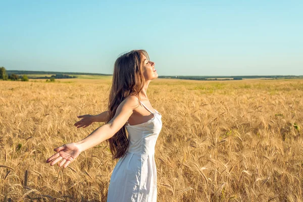 Seorang gadis di ladang gandum musim panas, mengangkat tangannya dalam gaun putih, kulit kecokelatan, senang berlibur udara segar. Hari yang cerah. Menikmati alam. Kebebasan memilih . — Stok Foto