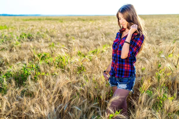 Vackra glad tjej i fältet, solig eftermiddag, shorts skjorta. begreppet njuter av naturen. Vila på luften. Vandring genom ängarna i vete på sommaren. — Stockfoto