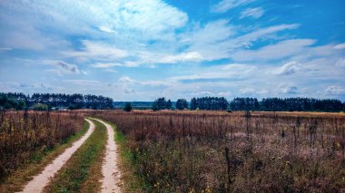 Yaz ülke road ve alanları mavi güzel bulutlu gökyüzü ve güzel orman arka plan olarak. Mesafe otoyol. Doğru şekilde kavramı