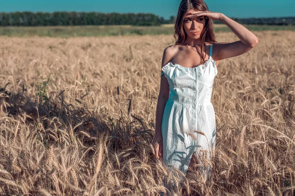 Девушка в белом платье поле, пшеница открытый отдых, красивое платье. Он смотрит вдаль, его рука покрыта солнцем. . — стоковое фото