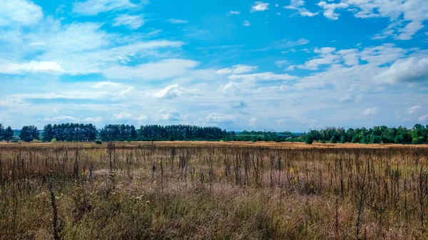 Landscape green field under bubbly summer colorful sky at sunset dawn sunrise. Copyspace On Clear Sky. — Stock Photo, Image