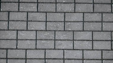 Avrupa bulimnik gri, bir sokak yol için yerdeki taş. Kaldırım. Doku taş bir yol. Yakın çekim.