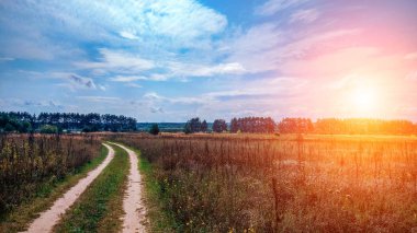 Yaz ülke road ve alanları mavi güzel bulutlu gökyüzü ve güzel orman arka plan olarak. Mesafe otoyol. Doğru şekilde kavramı