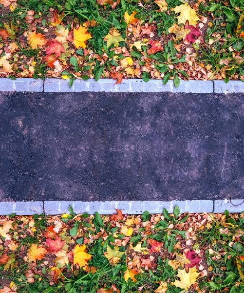 Megfékezze az úton őszén a város egy csomó sárga és zöld lomb- és fű. Tiszta aszfalt szöveg írásához. A háttérben a betonút. Őszi hangulat. — Stock Fotó