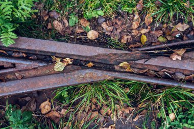 Metal uyuyanlar çerçevede bir düşmüş yapraklar. Paslı eski raylar doğa şehirde. Tasfiyelerinde harfiyle kavramı çapraz-yollar doğada x.