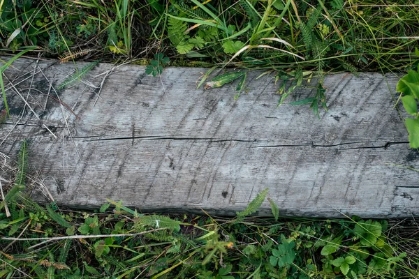 Houten plank van brede hout, achtergrond met groen gras. Textuur boom voor het schrijven van de tekst. Een zomerdag in de natuur in het park. Grijze triplex. — Stockfoto