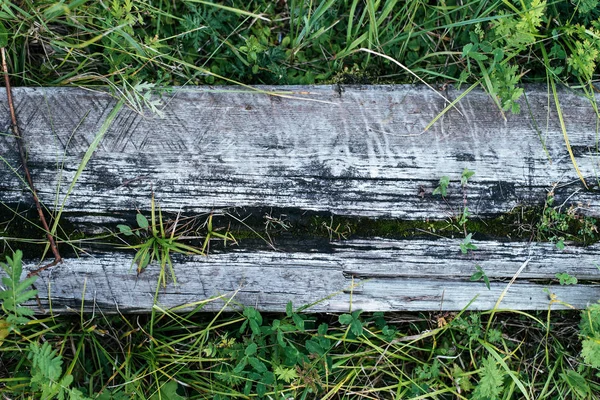 Houten plank van brede hout, achtergrond met groen gras. Textuur boom voor het schrijven van de tekst. Een zomerdag in de natuur in het park. Grijze triplex. — Stockfoto