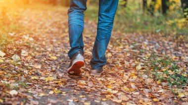 Bir adam yürüme durdurur. Kızlar kız. Sarı yaprakların arasında parkta niteliğine sıcak kızlar. Parlak renkler sonbahar park
