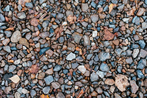 Wet stones in park on the road, paving stones. In the city by the wayside. Autumn day colorful boulders.