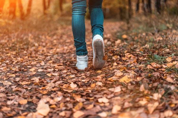 Seorang pria berhenti berjalan. Pacar perempuan. Gadis seksi di alam di taman diantara daun kuning. Taman musim gugur dengan warna cerah . — Stok Foto