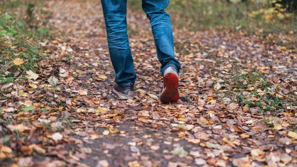 Seorang pria berhenti berjalan. Pacar perempuan. Gadis seksi di alam di taman diantara daun kuning. Taman musim gugur dengan warna cerah — Stok Foto