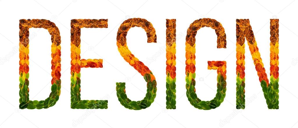 4559585
