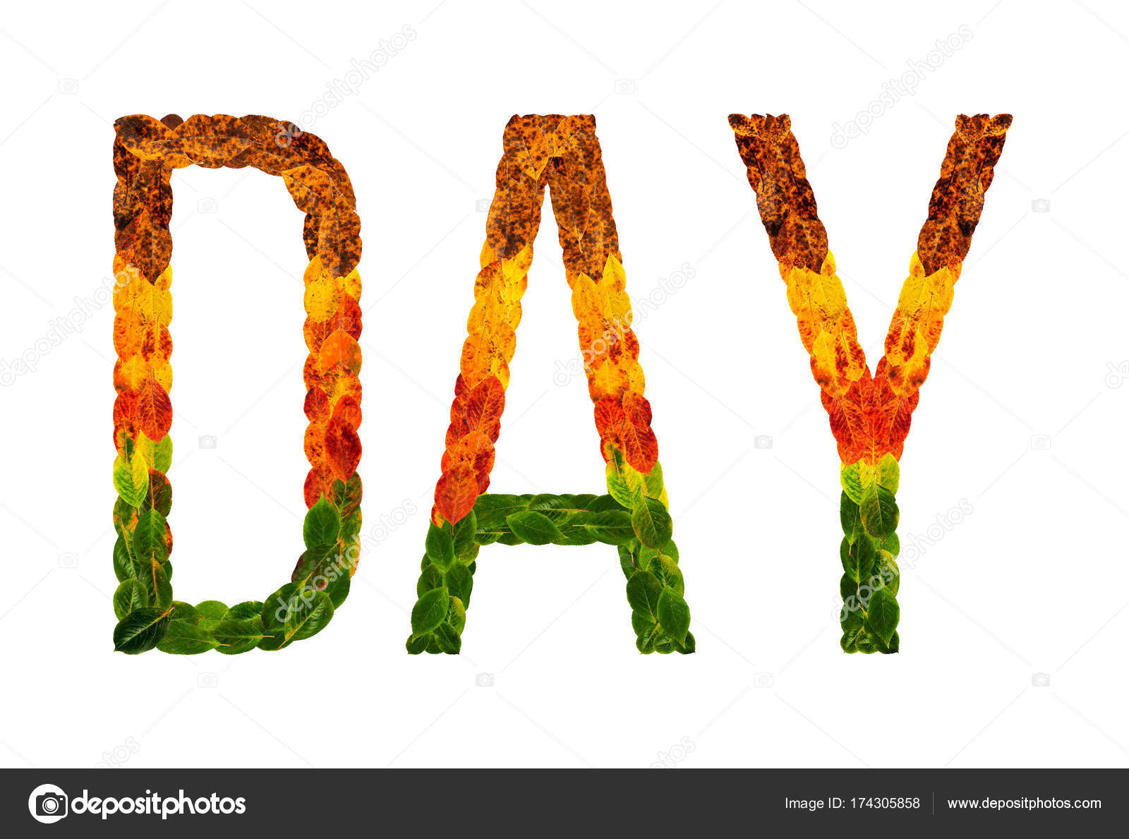 Word Day written with leaves white isolated background, banner for