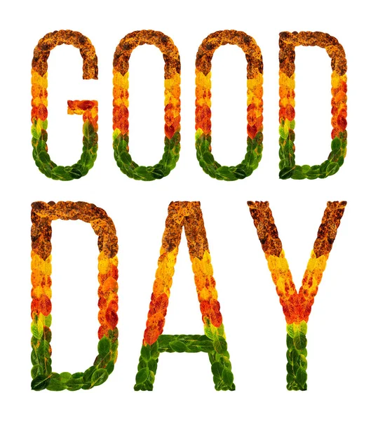 Καλή σας μέρα λέξη γράφεται με αφήνει λευκό φόντο απομονωμένες, banner για εκτύπωση, δημιουργική απεικόνιση χρωματισμένα φύλλα. — Φωτογραφία Αρχείου