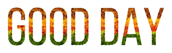 Λέξη καλή μέρα γράφεται με φύλλα λευκού απομονωμένοι φόντο, banner για εκτύπωση, δημιουργική απεικόνιση του χρωματισμένα φύλλα. — Φωτογραφία Αρχείου