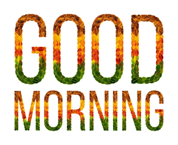 Λέξη Καλημέρα γραμμένη με φύλλα λευκού απομονωμένη φόντο, banner για εκτύπωση, δημιουργική απεικόνιση του χρωματισμένα φύλλα. — Φωτογραφία Αρχείου