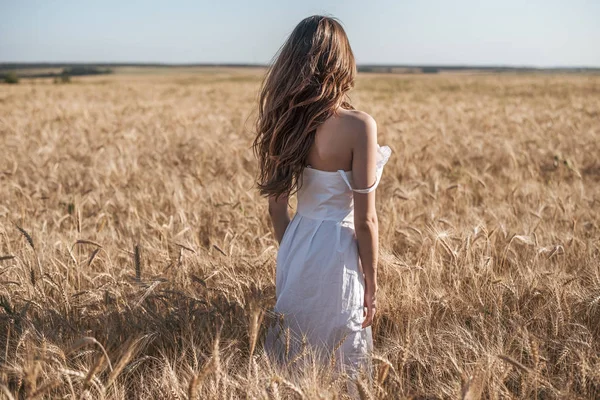 Gadis dalam bidang gaun putih, gandum rekreasi luar ruangan, gaun yang indah. Seorang wanita berjalan di luar ruangan . — Stok Foto