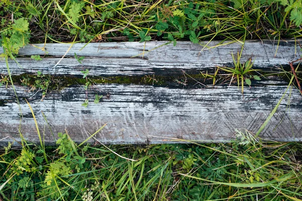 Szczelnie-do góry. Stare drewniane deska, na tle zieleni, lato jesień dnia w naturze. Tekstura tło napis. Drzewa są popękane. — Zdjęcie stockowe