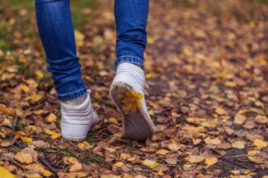 Bir adam yürüme durdurur. Kızlar kız. Sarı yaprakların arasında parkta niteliğine sıcak kızlar. Parlak renkler sonbahar park.