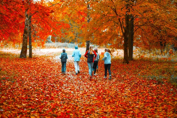 Running athletes in the park on a run in the early morning. Several children are running in the woods doing sports. Healthy lifestyle. — Stock Photo, Image