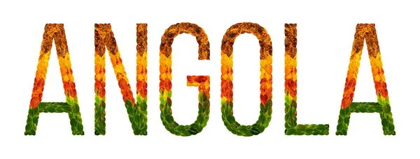 字安哥拉国家是写在白色绝缘背景的叶子, 印刷的旗帜, 一个创造性的发展中国家有色树叶安哥拉 — 图库照片