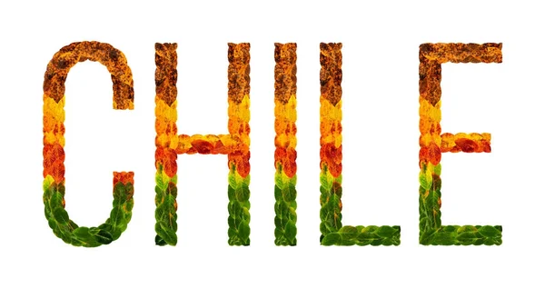 Palavra chile país é escrito com folhas em um fundo isolado branco, uma bandeira para impressão, um país em desenvolvimento criativo folhas coloridas chile — Fotografia de Stock